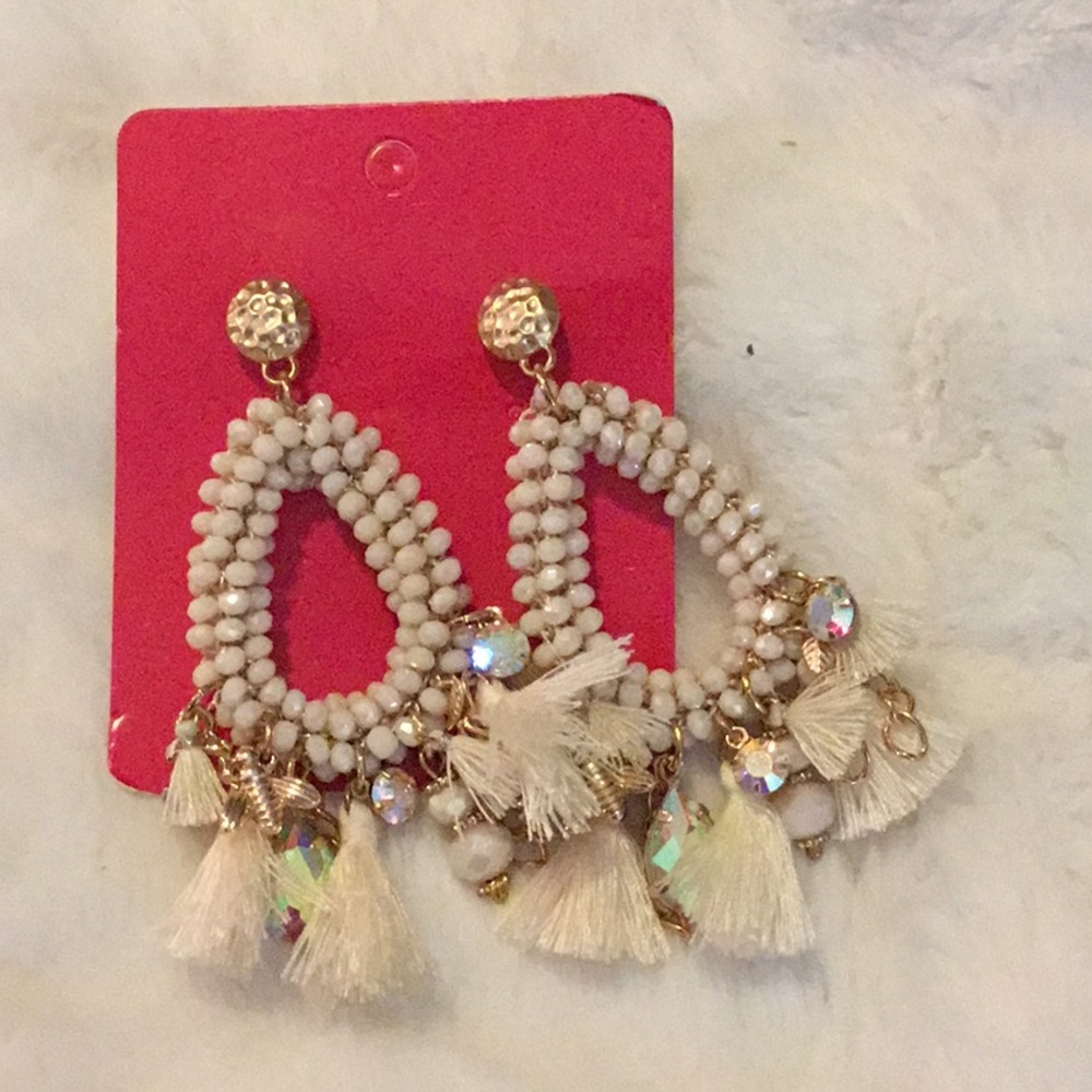 NWOT- EARRINGS